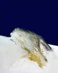 "Untitled" II - 35"x28" - Berlin 2000 - mixed technique on canvas (private collection  Dr. Hagemann, Berlin) 